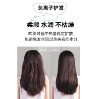 飞科吹风机家用负离子护发宿舍用学生便携式大小功率电吹风筒 抖音同款