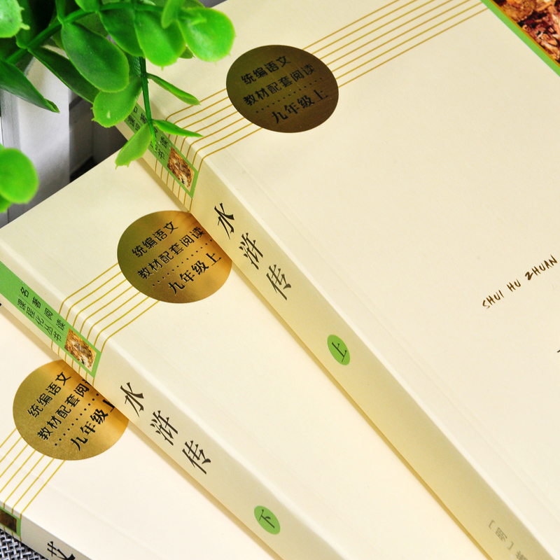 [全13册]九年级上下学期阅读全套 [正版]人教版 艾青诗选水浒传书原著完整版温儒敏王本华人民教育出版社初中生初三课高清大图
