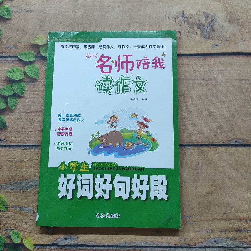 正版新书]黄冈名师陪我读作文:小学生好词好句好段作者97875492高清大图