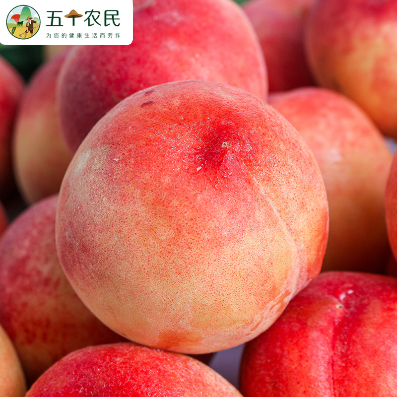 [五个农民]山东蒙阴金秋红蜜桃4.5斤精品果(8-12个装)桃子毛桃应季新鲜水果