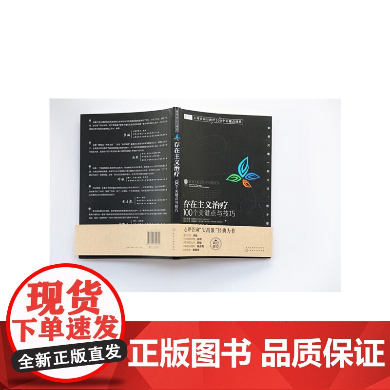 心理咨询与治疗100个关键点译丛 存在主义治疗 100个关键点与技巧 化学工业出版社高清大图