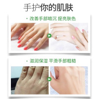 洋甘菊护手霜滋润保湿补水防干裂细腻嫩滑持久留香男女士手霜