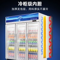 星星(XINGX)LSC-1218Y 1200升商用展示柜 立式对开门冷藏柜 商用大容量冰柜 冰箱 保鲜柜 三门饮料柜