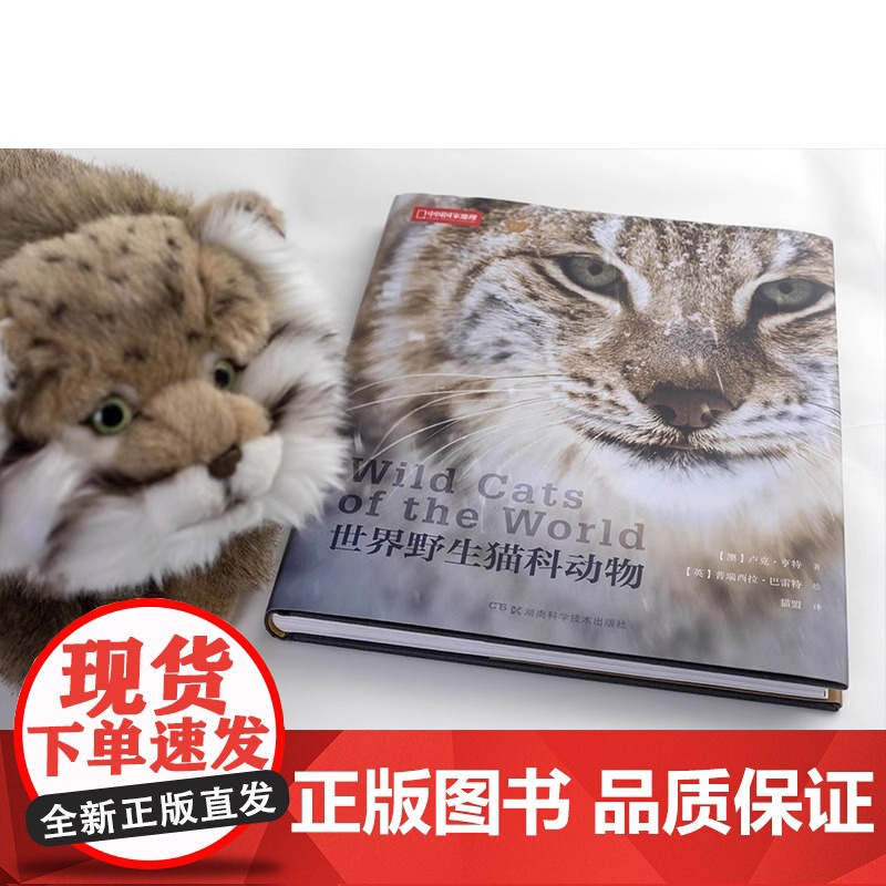 世界野生猫科动物中国国家地理全景猫盟百科全书珍惜野生哺乳动物猫科动物种类大全生物图鉴书籍神秘野生动物大猫咪图书集DL高清大图