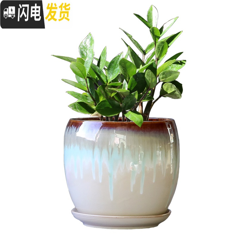 三维工匠花盆陶瓷大号家用带托盘个性简约蛋型绿植绿萝吊兰小多肉花盆 2个中号蛋型(孔雀蓝+白) 大花盆容器
