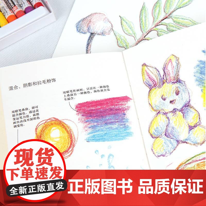 西方绘画实用宝典 绘画材料 绘画技巧 混合媒介和绘画理论 图文并茂教程书 零基础自学画画入门 美术教程材书籍 上海书画出高清大图