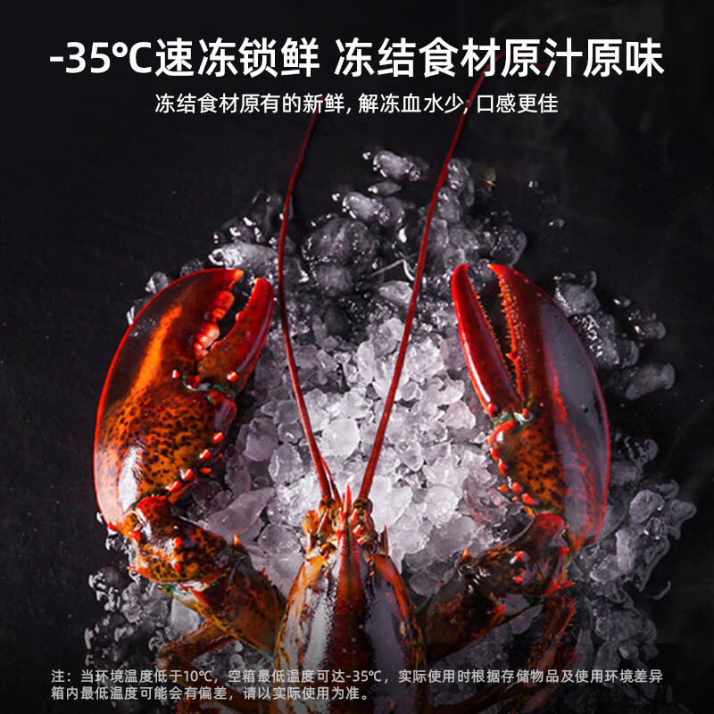 美菱(MELNG)冰柜201升卧式顶开门家用冷藏冷冻超薄小型单温冷柜一级大容量速冻断电保温小冰箱201DT白高清大图