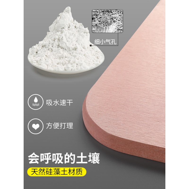 硅藻泥脚垫家用卫生间防滑垫浴室口吸水地垫硅藻土吸水垫 三维工匠高清大图
