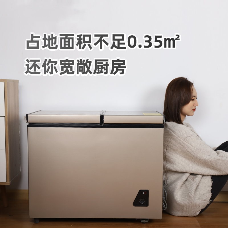月亮喵冰雪小冷柜商用大容量双温节能冷冻冷藏租房家用小型双门冰柜 40L银色单门 无联保