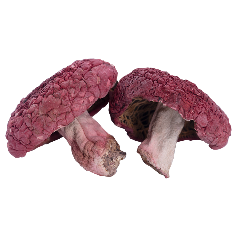 新货红菇干货厨师云南菌红椎菌香红蘑菇50g