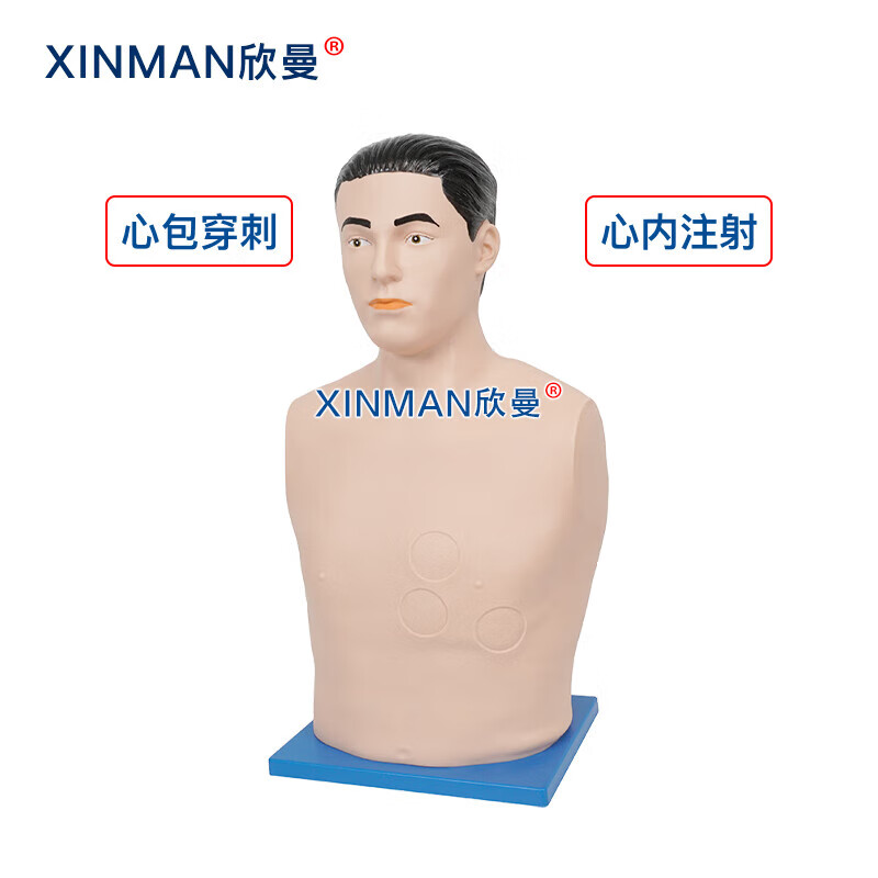 欣曼科教 心包穿刺与心内注射模拟人 心包穿刺训练模型XM-XB01高清大图