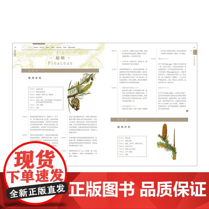 中信出版社 芳疗实证全书 温佑君 肯园芳疗师团队著 成为专业芳疗师的圣经芳香疗法 完全手册图书 精油芳疗入门正版书 ZX高清大图