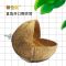 椰子壳虎皮牡丹鸟窝保暖耐咬啃不动珍珠文鸟鸟窝鸟巢小型鹦鹉窝房 10-11cm 直角开口椰壳窝 小号