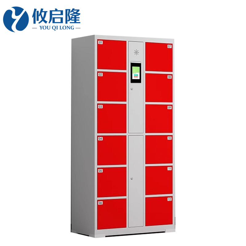 攸启隆12门寄存柜850*460*1800mm台