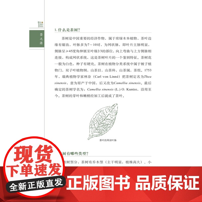 中英双语茶知识100问 9787109278004 阮建云 周智修 茶道 茶文化 茶tjf. 茶书 茗茶 香茗 中茶博高清大图