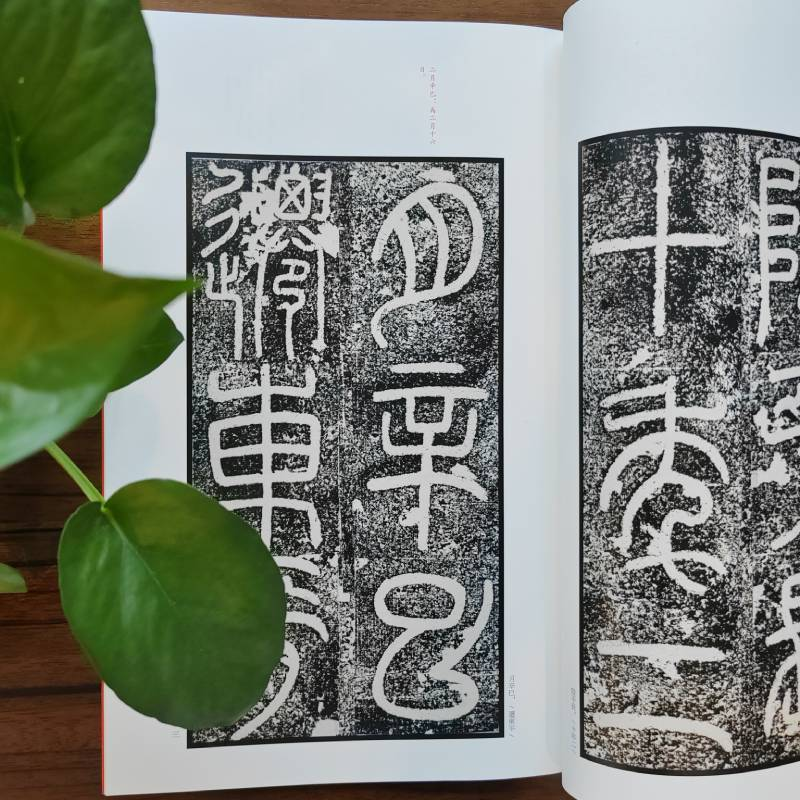 醉染图书袁安碑、袁敞碑9787547906491高清大图