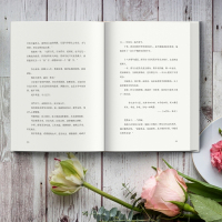 [正版]李清照传 世有一人 如美景良辰 半生灿烂 半生孤寂 冷暖自知 悲喜自渡 人物 传记 图书 书籍