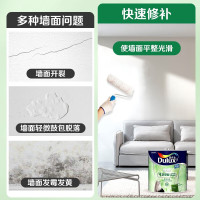 多乐士(Dulux)致悦竹炭抗甲醛净味五合一内墙乳胶漆 油漆涂料 环保墙面漆除醛抗菌 双倍防霉墙漆 A8146 1L