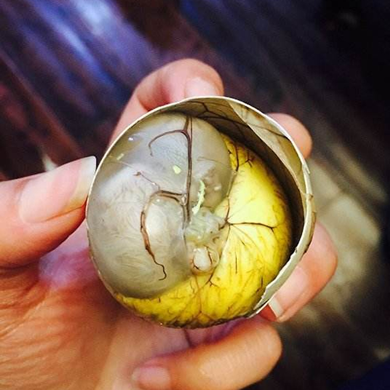 毛蛋活珠子13天毛鸡蛋鸡胚蛋新鲜熟原味活珠子20枚