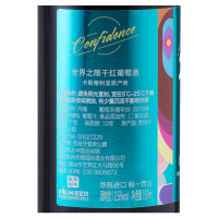 张裕先锋西班牙原瓶进口红酒 世界之眼丹魄干红葡萄酒 小瓶小支装小酒187ml*6 整箱装
