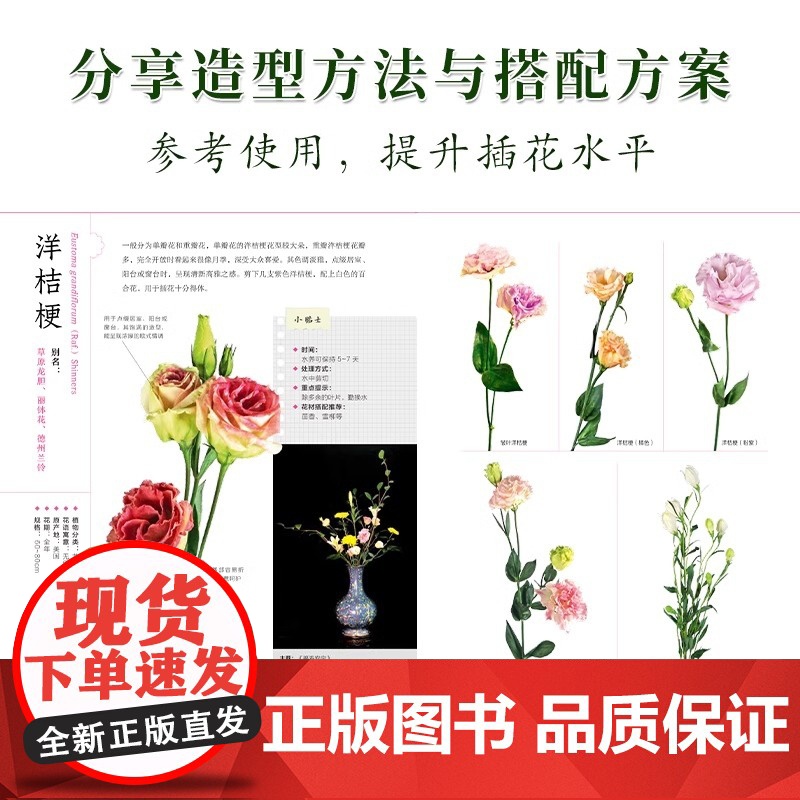 正版]超人气!花艺素材图鉴 零基础插花花艺入门教程书籍花艺摆件搭配挑选花艺素材大全插花设计书花店零基础花艺书花图鉴高清大图