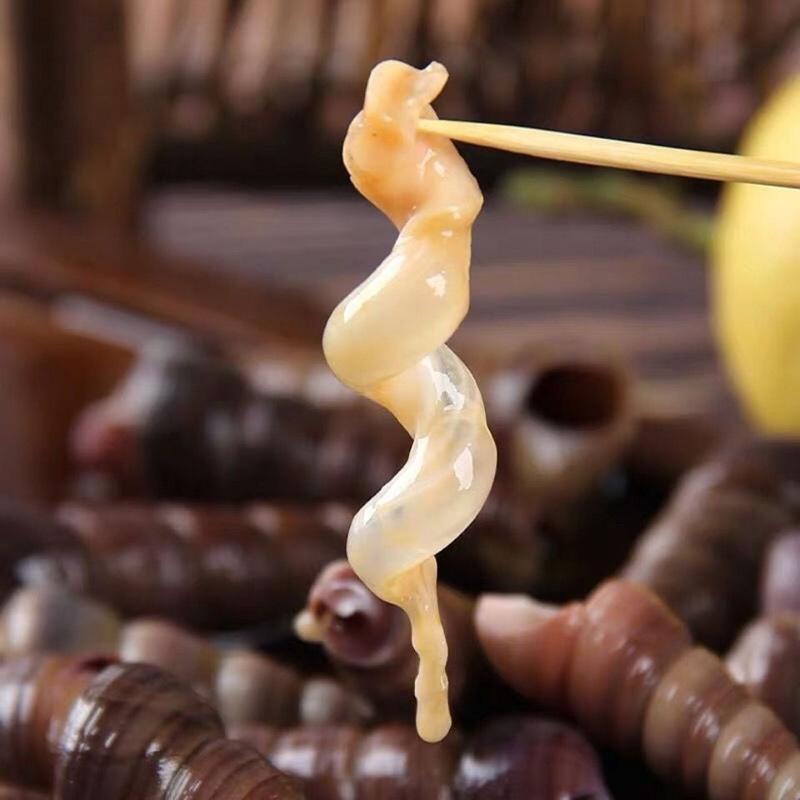 赛卡伊青岛鲜活海捕去尾钉螺海螺丝海鲜水产长尾螺蛳1500g每箱