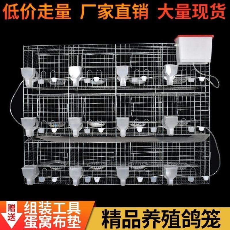 2位鸽笼 无配件裸笼 大号标准养殖鸽子笼鸽子鸽巢12位信鸽配对笼16位