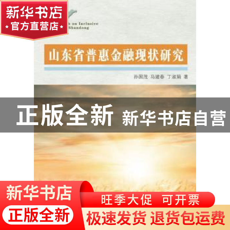 正版 山东省普惠金融现状研究 孙国茂,马建春,丁淑娟著 山东人