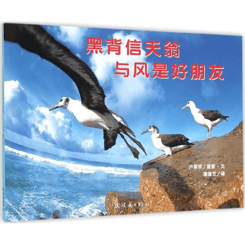 醉染图书黑背信天翁与风是好朋友9787505610002图片