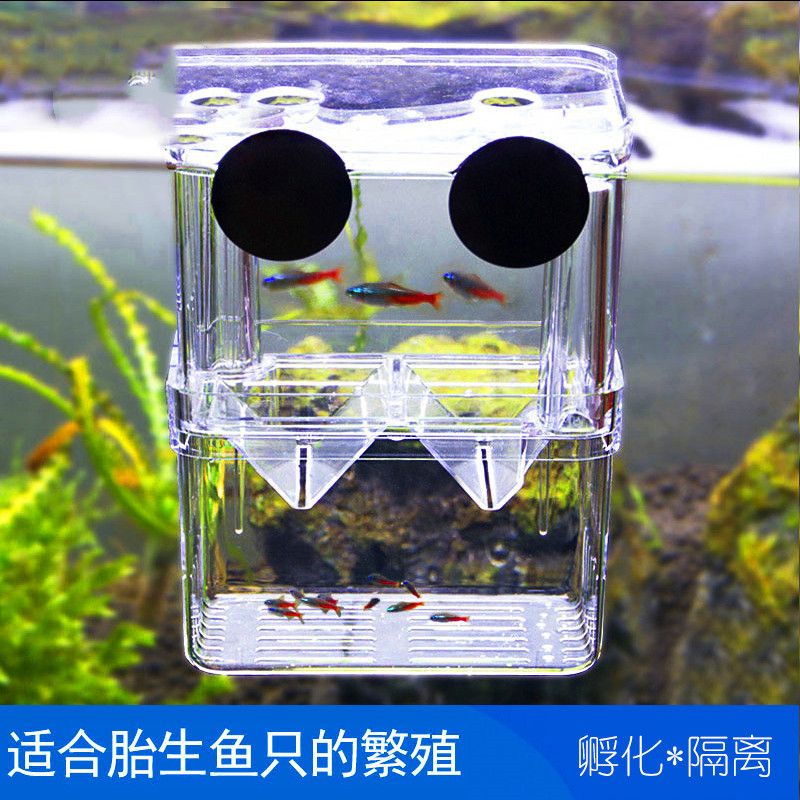 鱼缸繁殖隔离盒 保护小鱼下崽热带鱼产房孵化盒 孔雀鱼小型悬浮式高清大图