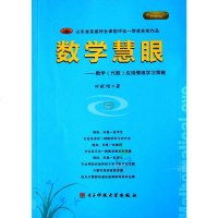 【现货】数学慧眼 中小学数学 应用题 审题 建模教材 田献增著 中考 奥数家 长老师学生适宜代数典藏版