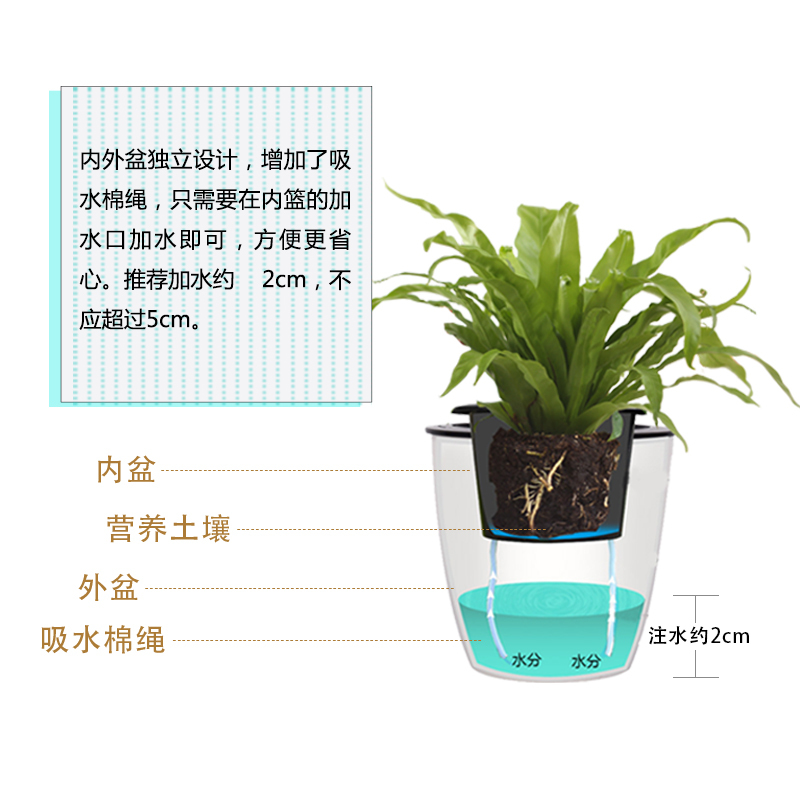 高筒免浇水花盆自吸水兰花绿萝君子兰加厚塑料北欧个性 双马款 棉绳土培款 A405(内径9.8cm左右)