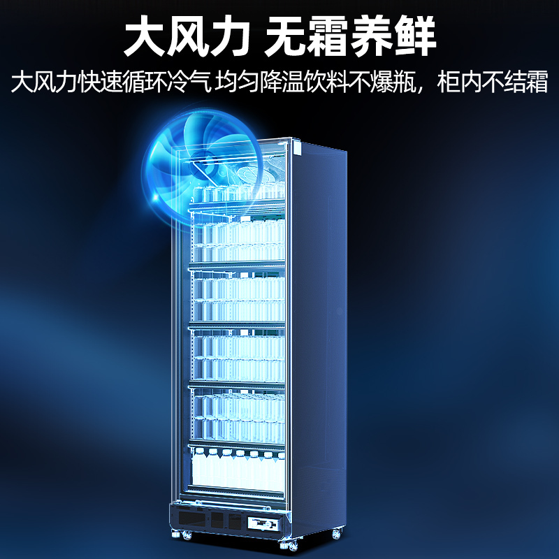 星星LSC-558W风冷无霜单门立式冰柜商用超市啤酒饮料保鲜展示柜高清大图