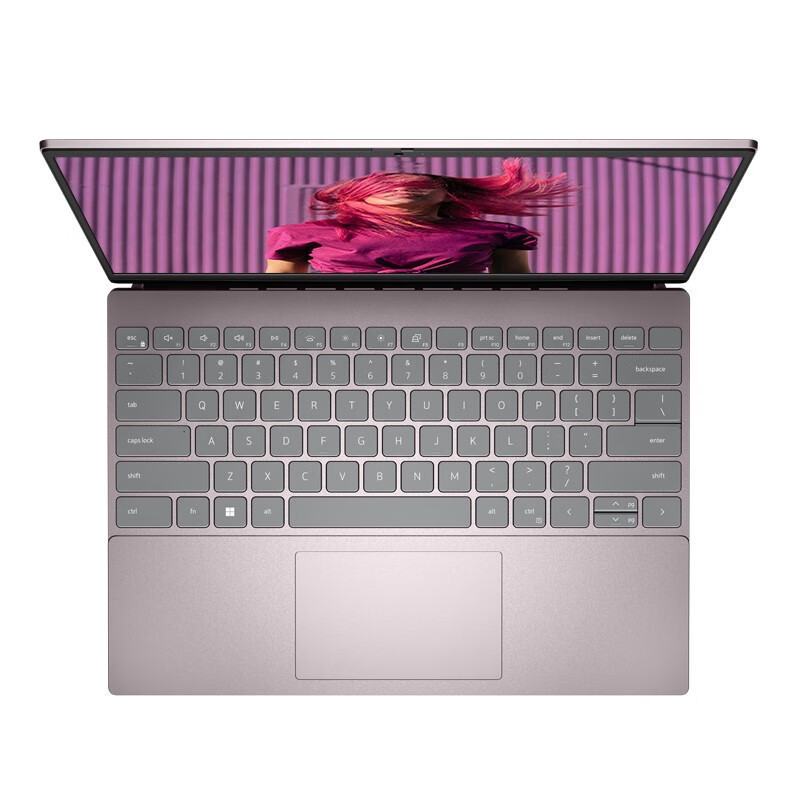 戴尔(DELL) 2023新灵越13pro13.3英寸笔记本电脑13代酷睿2.5K屏5330轻薄商务 定制 (i7-1360P 16G 2T 2.5K屏 100%高色域)粉色