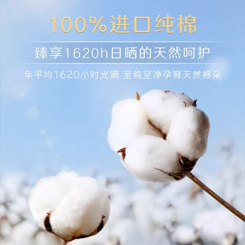 高洁丝日用阳光奢爽纯棉亲肤280mm6片*8包超薄透气卫生巾姨妈巾