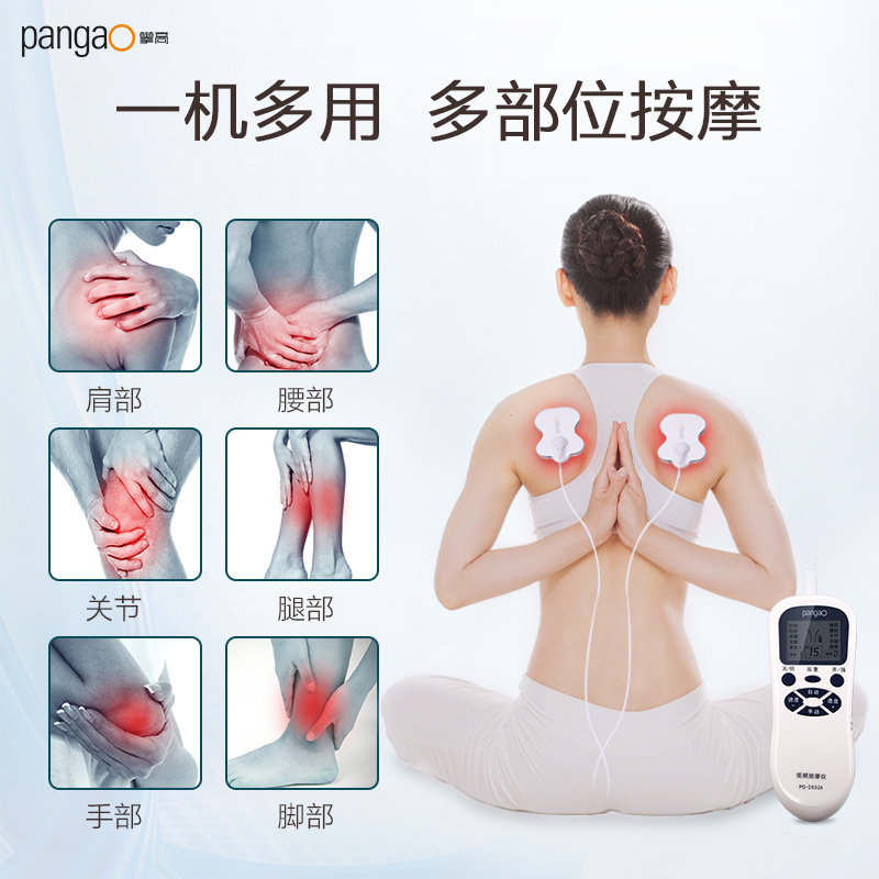 攀高 (PANGAO) 低频理疗仪 家用便携电疗仪辅助治疗仪 电脉冲多功能颈椎腰椎膝盖关节按摩器 PG-2602A高清大图