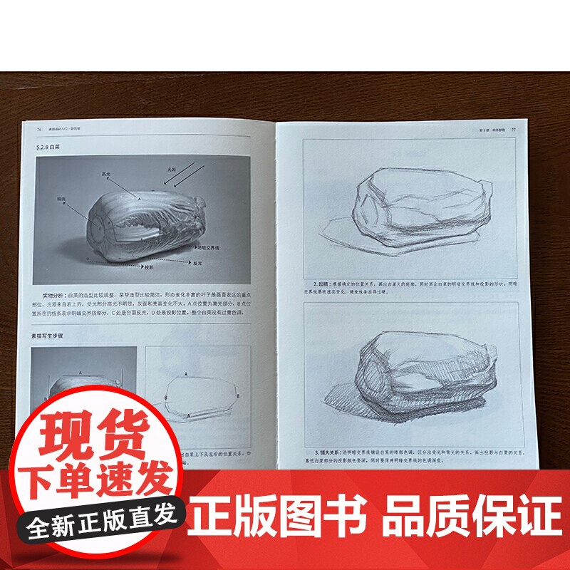 素描基础入门 静物篇高清大图