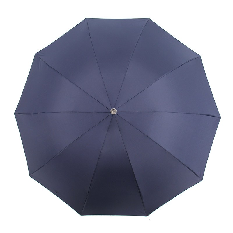 天堂伞30720E经典商务双人折叠大伞全钢十骨晴雨伞(把)