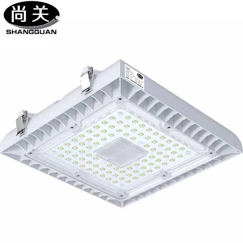 尚关(SHANGGUAN) 雨棚灯 SQ-Z10 AC220V LED 40W