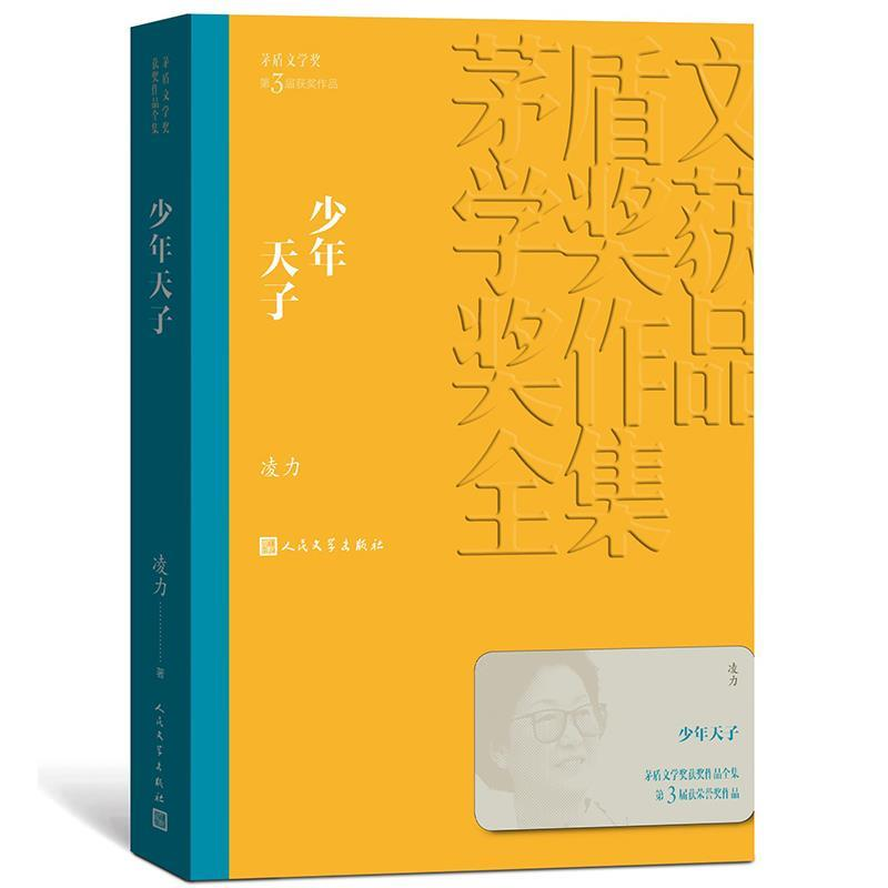 正版新书]少年天子(茅盾文学奖获奖作品全集12)凌力9787020144高清大图