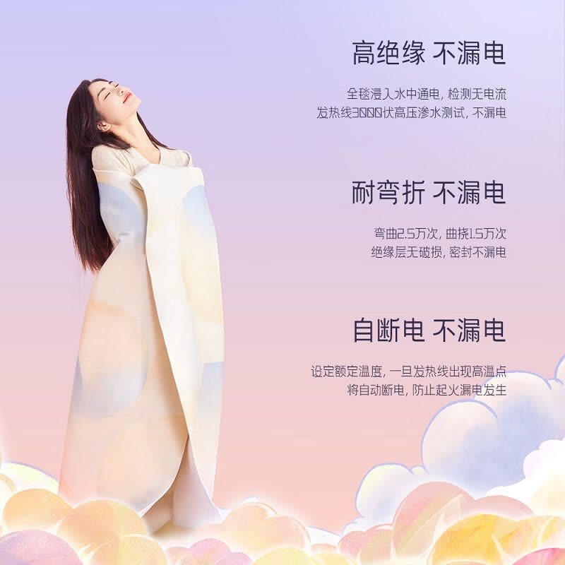 彩虹电热毯 双控双温9档调温定时除螨化纤印花双人电热毯2*1.8米 T2018图片