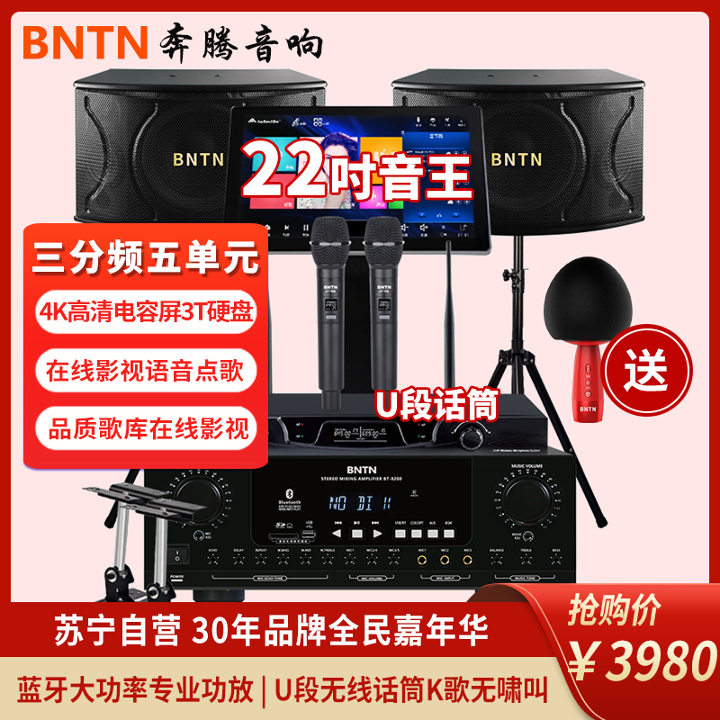 奔腾(BNTN)套装家庭影院KTV音响全套黑色点歌机一体机卡拉OK专业会议音响U段话筒3T语音点歌8200功放配12音箱高清大图
