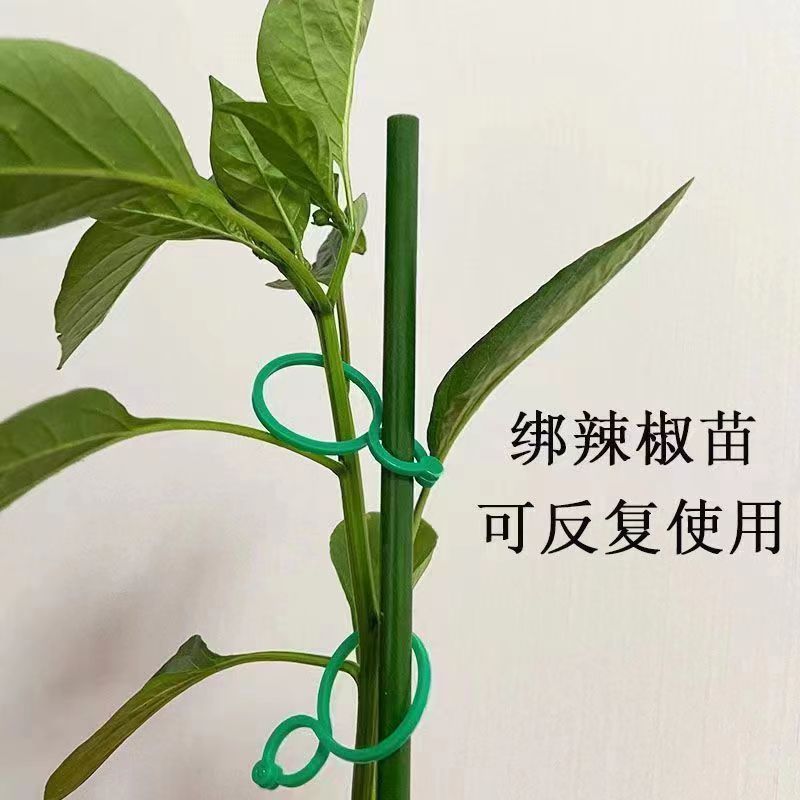 园艺8字扣黄瓜西红柿固定夹植物豆角爬藤藤蔓固定神器蔬菜自动扣-农林果蔬八字扣;小号1包高清大图
