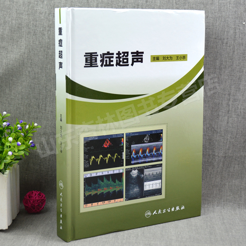 [正版] 重症超声 主编刘大为 王小亭 重症医学参考工具书籍 重症心脏超声医学影像书籍基本理论的临床应用 人民卫生出版高清大图
