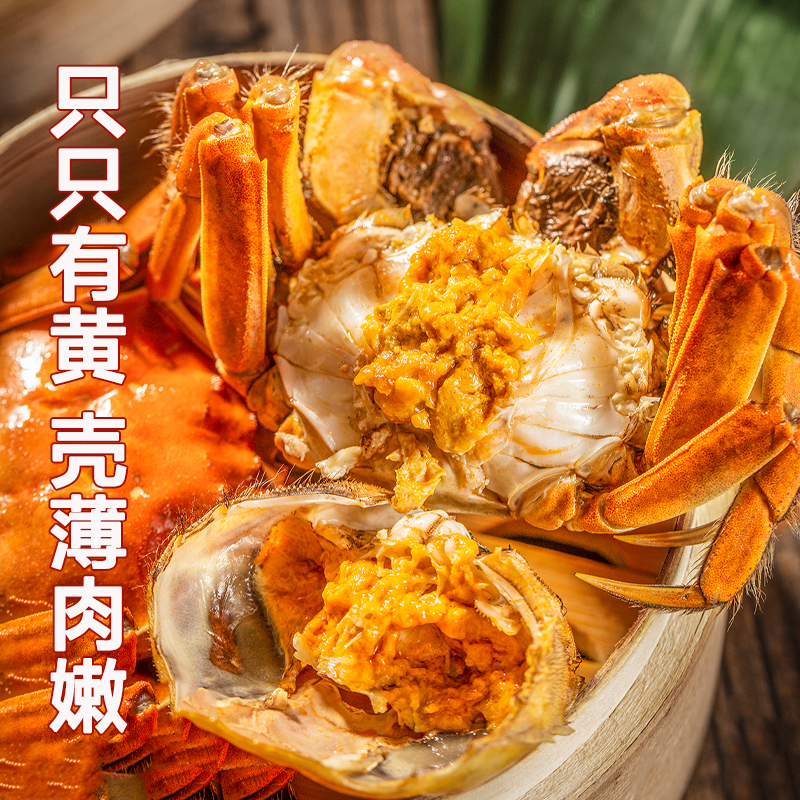 苏州精品大闸蟹鲜活六月黄螃蟹河蟹3两8只装公母随机大螃蟹鲜甜满黄直达到家死蟹包赔高清大图