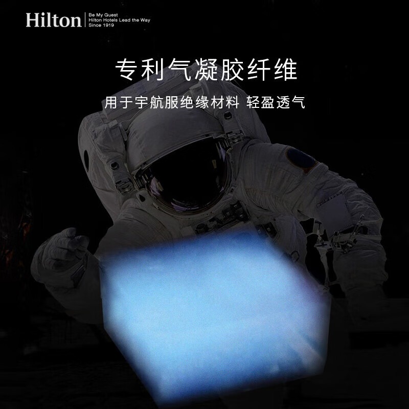 康尔馨 希尔顿Houston1964春秋被芯 200* 230cm/填充克重1150g_高清大图