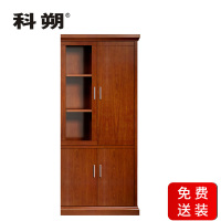 科朔 文件柜两门柜资料柜 办公文件柜 职员书柜 油漆办公柜KSHS03