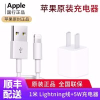 Apple苹果原装充电器iPhoneX/7Plus/8Sx 6 插头max充电头5W 正品线充套装(数据线+充电器)