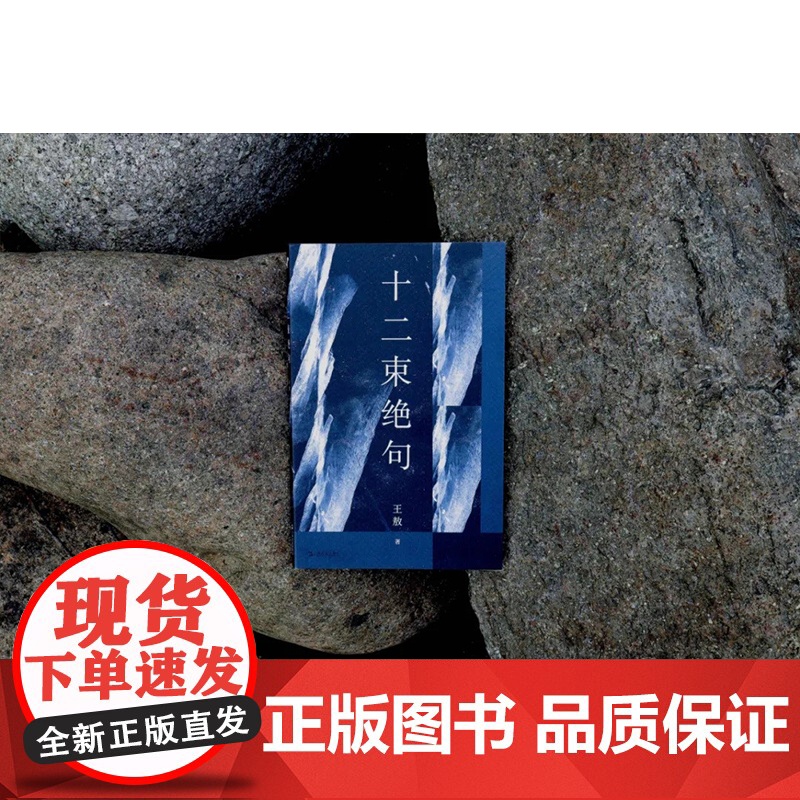 十二束绝句 王敖诗集纯绝句集中国当代文学作品上海文艺出版社另著绝句与传奇诗高清大图