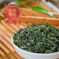 醉然香茶叶绿茶新春茶高山云雾绿茶日照绿茶高山炒青绿茶散装125g*4罐装